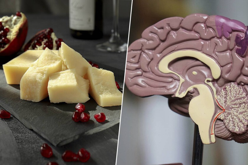 Por motivos de salud, llevamos años evitando el queso añejo. Amplios estudios sugieren que estábamos equivocados

 – La nación