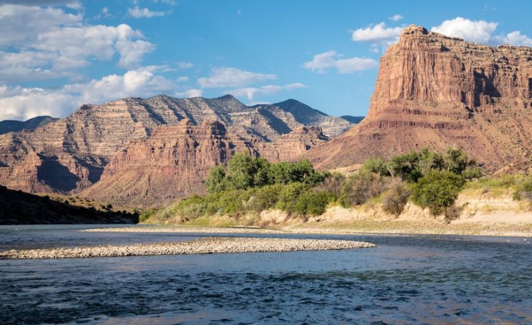 desafiar las leyes de la gravedad

 – La nación