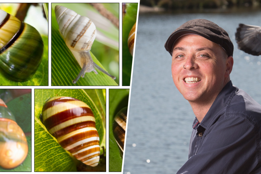 El filósofo holandés creía que salvar caracoles nos salva a nosotros mismos

 – La nación