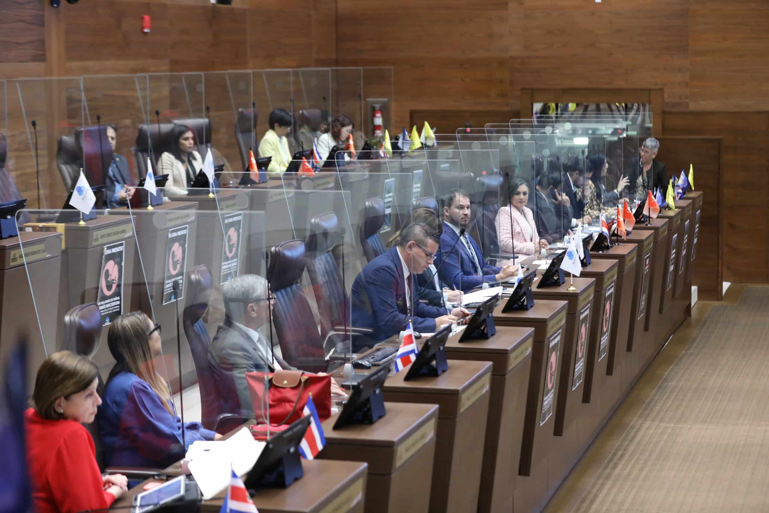 El control político de los diputados no está regulado; el legislador tiene el poder de limitarlo

 – La nación