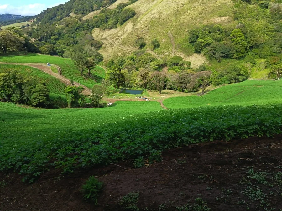 Llano Bonito de Naranjo celebrará el Día Internacional de la Mujer con un paseo por la Reserva El Chayote

 – La nación