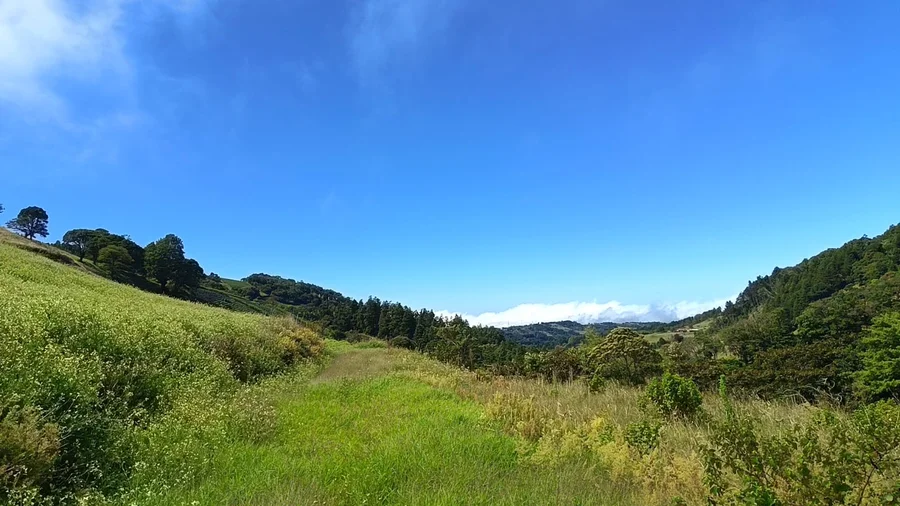 La Caminata El Chayote abre inscripciones a través de Google Forms para este 8 de marzo

 – La nación