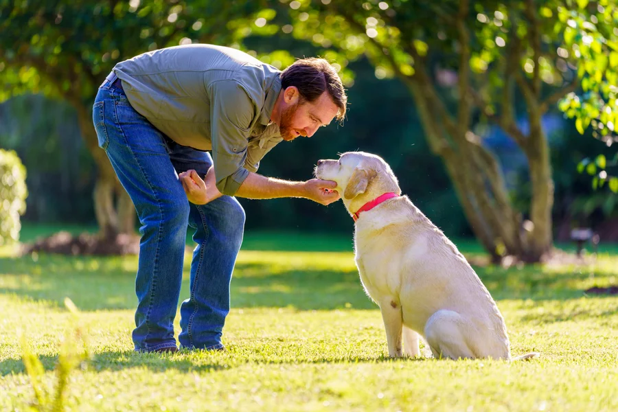 Cuidar la salud de tu mascota mediante desparasitaciones y visitas al veterinario es la mayor prueba de cariño.

 – La nacion