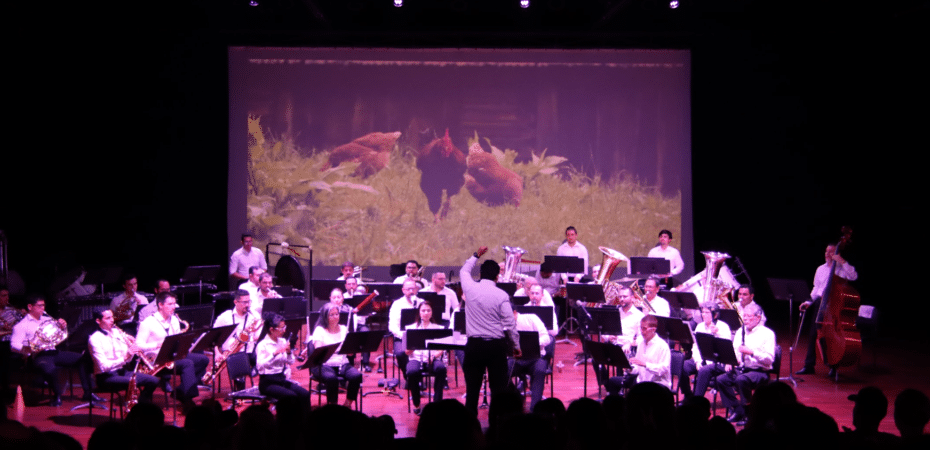 Programa RIDE y ‘rutas culturales’ lideran la estrategia de descentralización artística del próximo gobierno

 – La nación