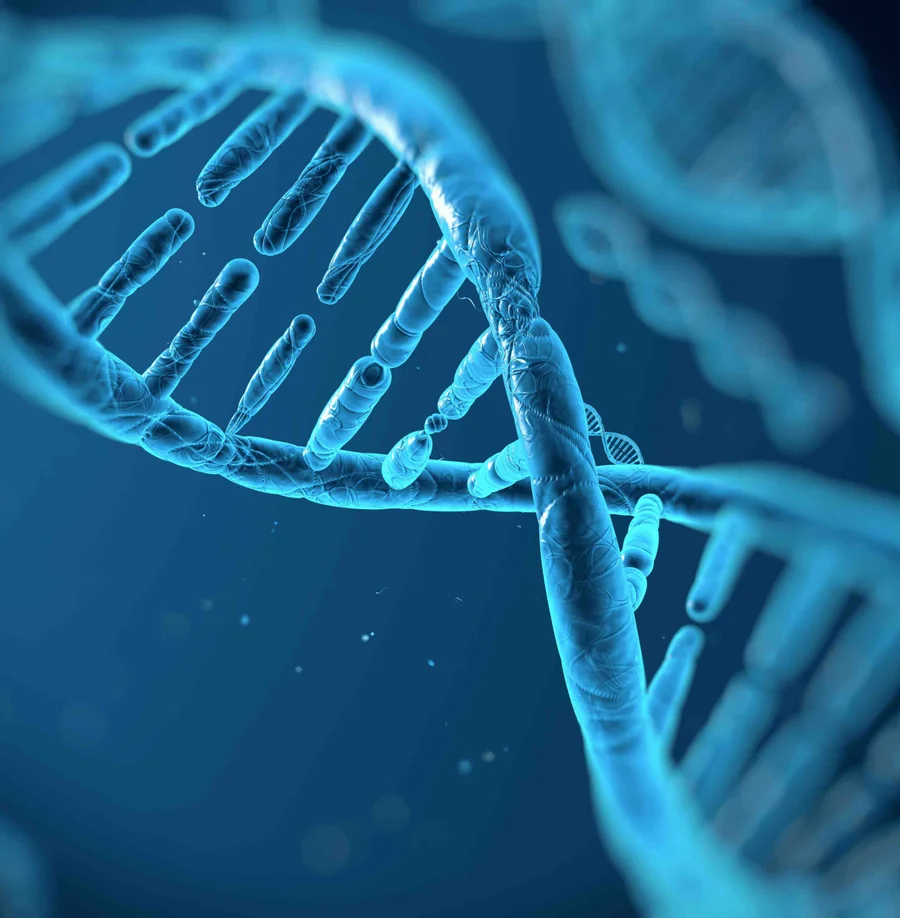 Fedefarma llama a esfuerzos para superar barreras de diagnóstico, acceso a terapias y calidad de vida de pacientes con enfermedades raras.

 – La nación