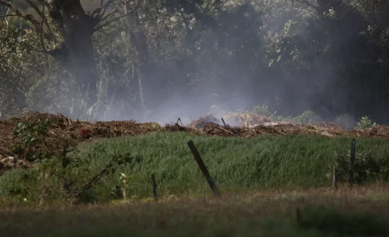 Fiscalía ambiental critica a empresa agrícola de Cartago por daños al humedal Coris

 – La nación