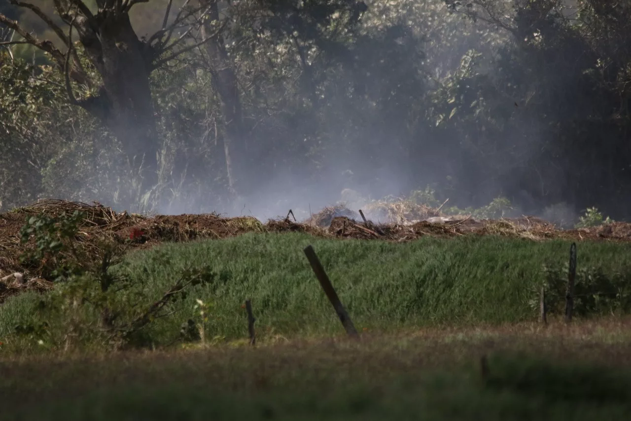 Fiscalía ambiental critica a empresa agrícola de Cartago por daños al humedal Coris

 – La nación