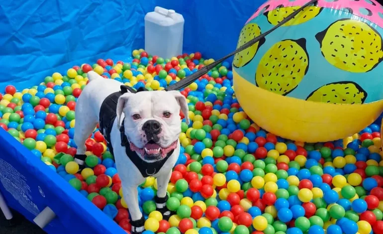 Actividades de diversión y aprendizaje para toda la familia tomarán Paseo Colón

 – La nacion