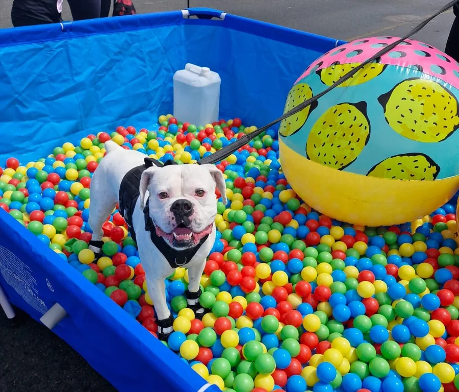 Actividades de diversión y aprendizaje para toda la familia tomarán Paseo Colón

 – La nacion