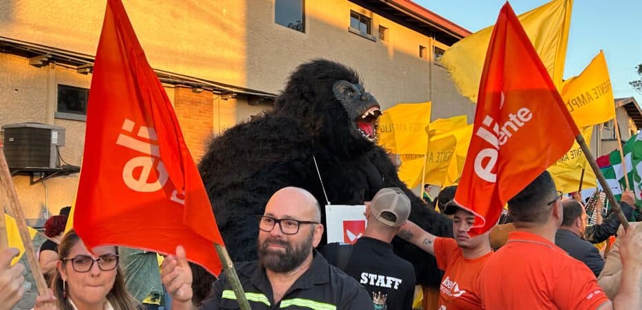 El PLP obtuvo los votos más caros al comparar la participación en las urnas y el gasto en publicidad; PLN y PPSO entre los más bajos

 – La nación