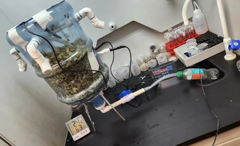 La UNED desarrolla un biorreactor que convierte los residuos de piña en biofertilizante

 – La nación