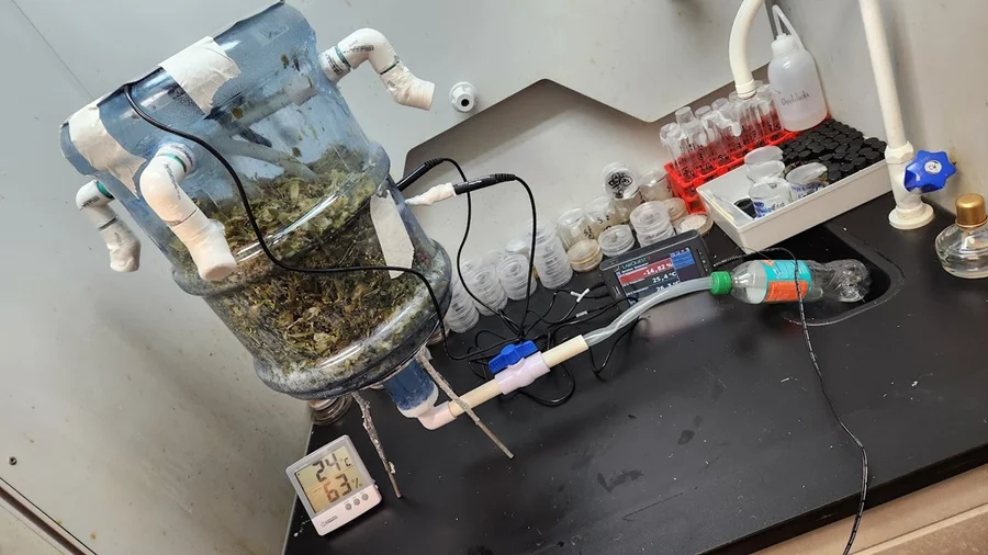 La UNED desarrolla un biorreactor que convierte los residuos de piña en biofertilizante

 – La nación