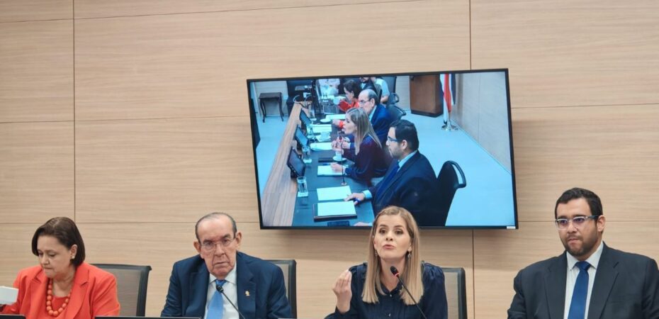 Laura Fernández dijo que le “dolería” que los actuales diputados no resolvieran las jornadas 4-3.

 – La nación