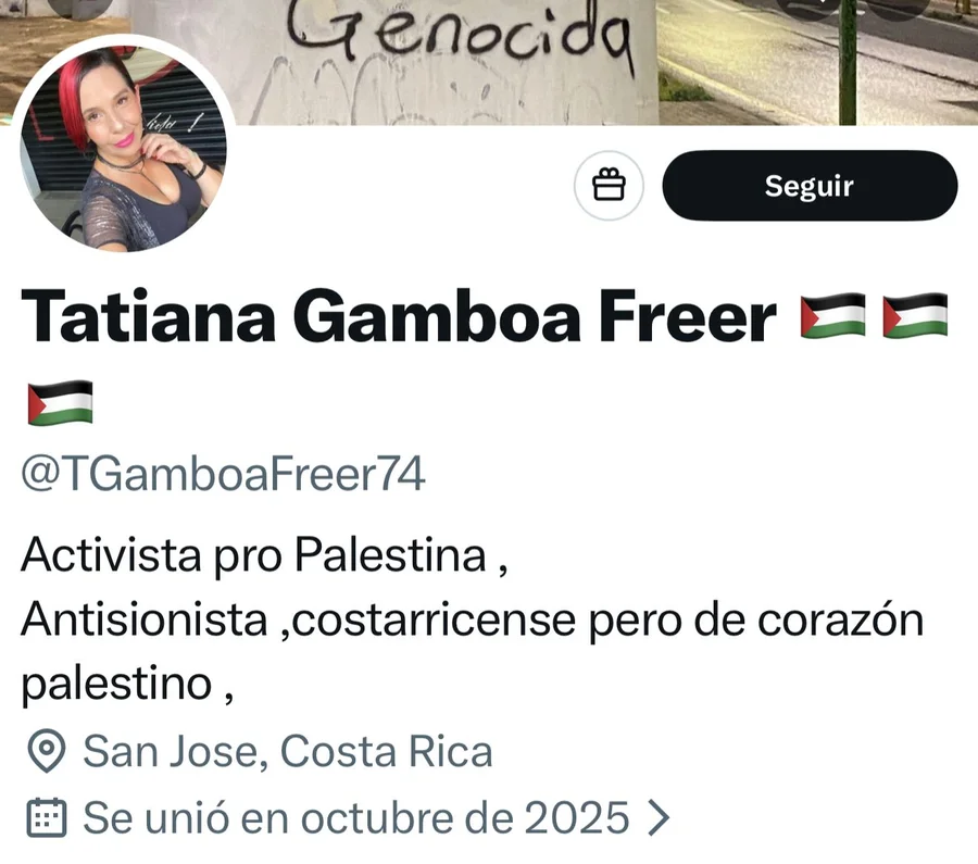 Activista pro palestino pide golpe de Estado contra Laura Fernández

 – La nación