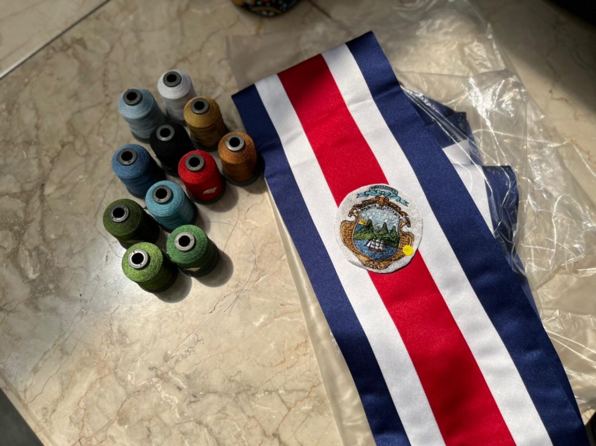 El TSE marca una pauta: Ministros y presidente no deben renunciar a un partido militante

 – La nación