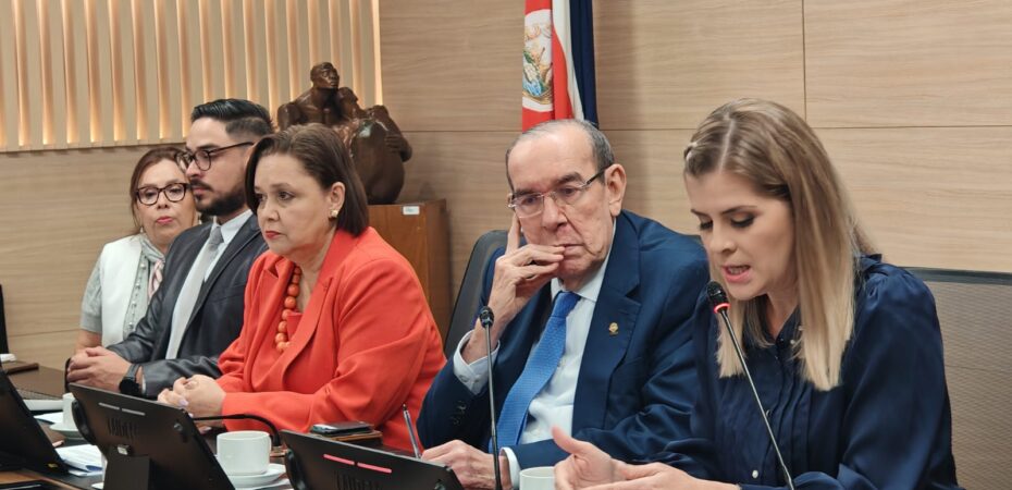 Laura Fernández pide a diputados avanzar 7 proyectos

 – La nación