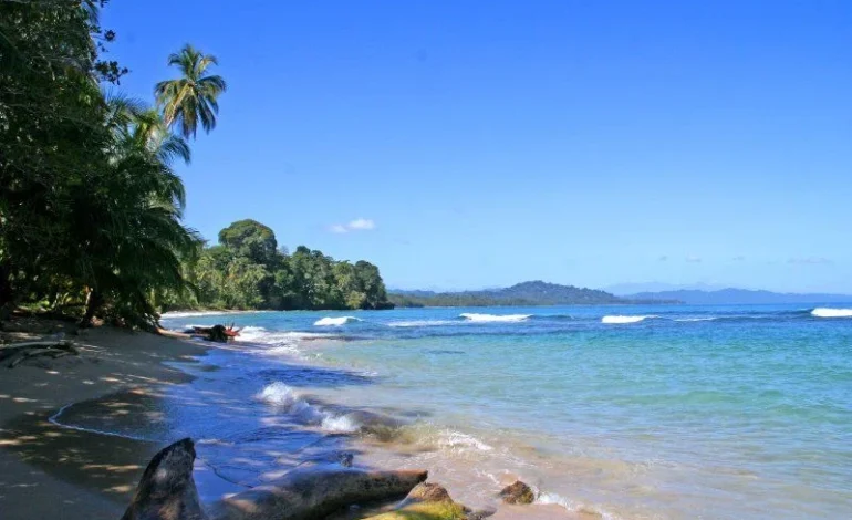 Tribunal ordena demolición de estructuras ilegales en Zona Marítimo Terrestre de Cocles

 – La nación