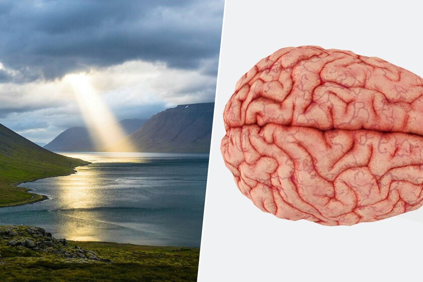 Según la neurociencia, ¿qué le sucede a nuestro cerebro cuando oramos o meditamos?

 – La nación