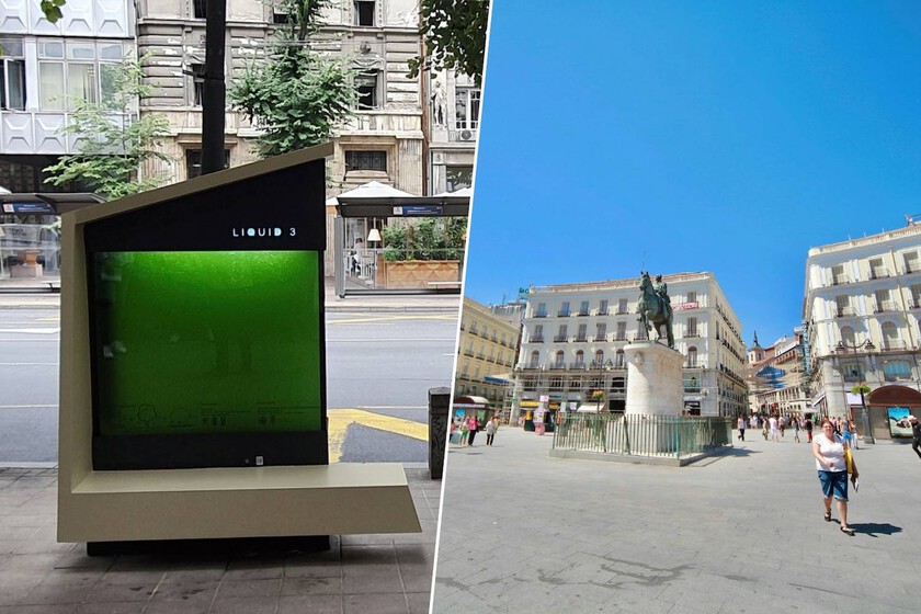 El resultado es el árbol líquido que no requiere suelo ni espacio

 – La nación