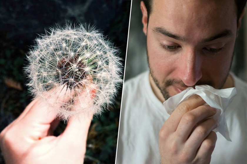 La primavera será un infierno para los alérgicos

 – La nación