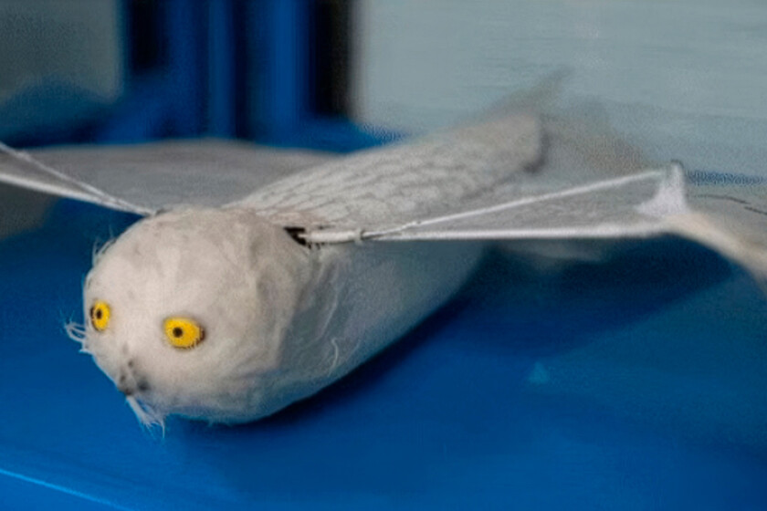 En China exploran una alternativa inspirada en la naturaleza

 – La nación