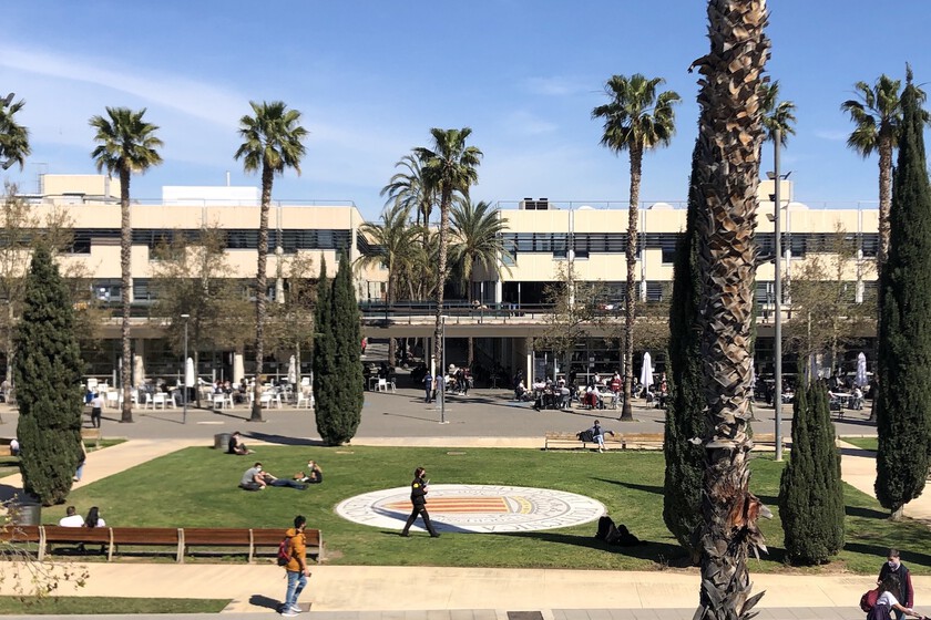 Predecir una sequía con seis meses de antelación era una utopía. La UPV lo ha conseguido con un sistema que utiliza IA

 – La nación