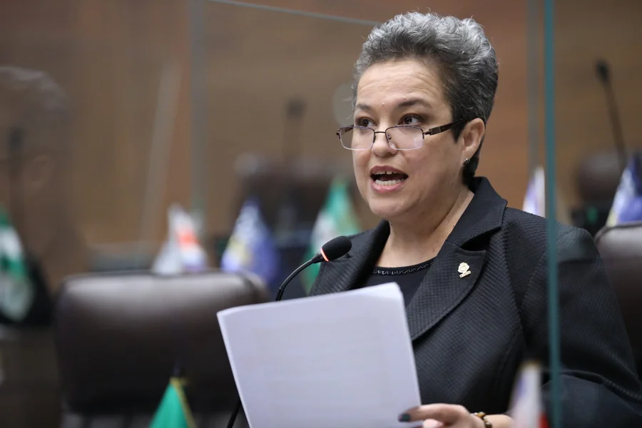 PLN no permite hablar a Carolina Delgado durante el debate moderado por el 8M

 – La nación