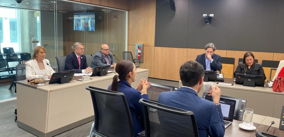 Un diputado señala un posible conflicto de intereses con la designación de un viceministro al directorio del Teatro Nacional

 – La nación