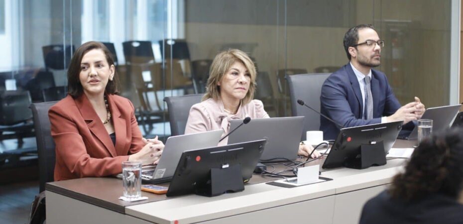 La jueza Patricia Solano sorprendentemente veta ley de sentencia: ‘nunca encontramos un problema constitucional’

 – La nación