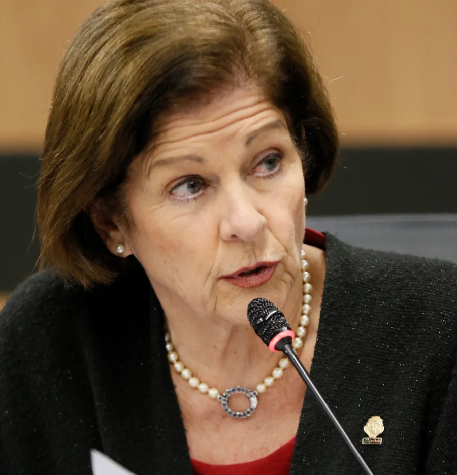 Es una facción incómoda y antipatriótica.

 – La nación