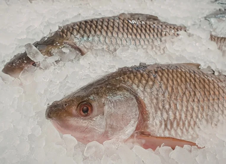 Senasa emite recomendaciones para el consumo seguro de productos pesqueros durante Semana Santa

 – La nación