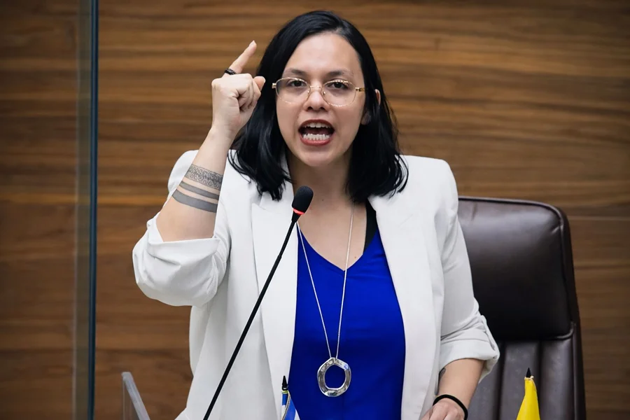 Guillén: Trabajo doméstico equivale a ₡9.600 millones que nadie nos paga

 – La nación