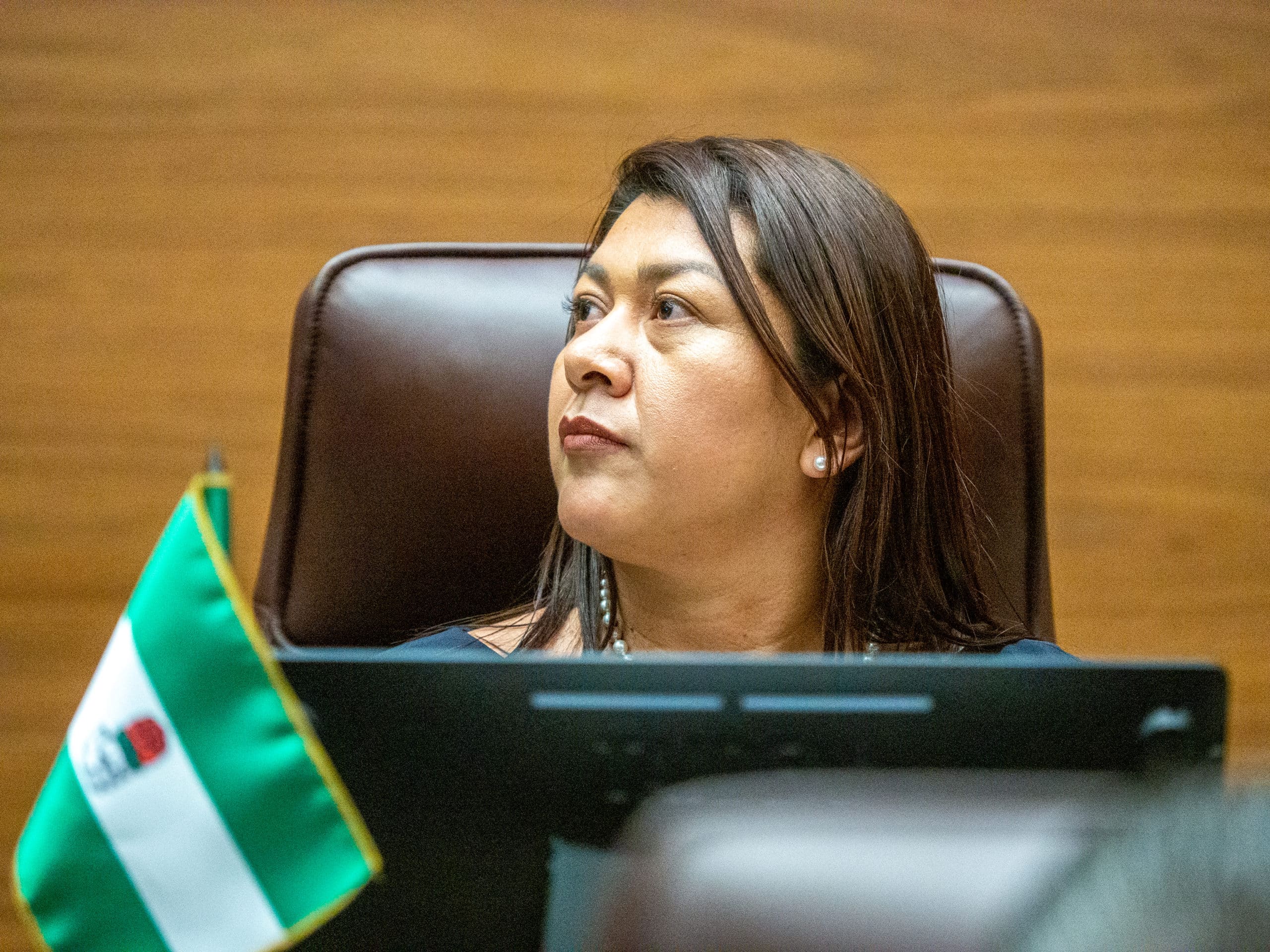 ¿Se sumarán al gobierno de Laura Fernández diputados alejados del PLN? Ellos respondieron esto

 – La nación