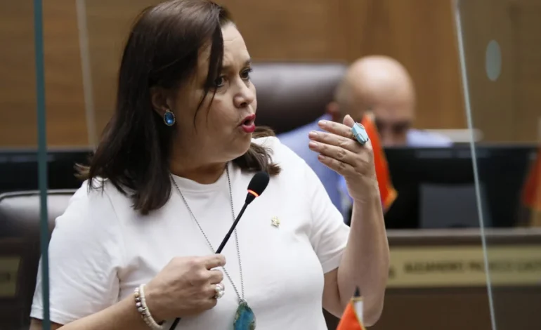 Castro cuestiona propuesta de Nogui Acosta de allanamientos sin orden judicial

 – La nación