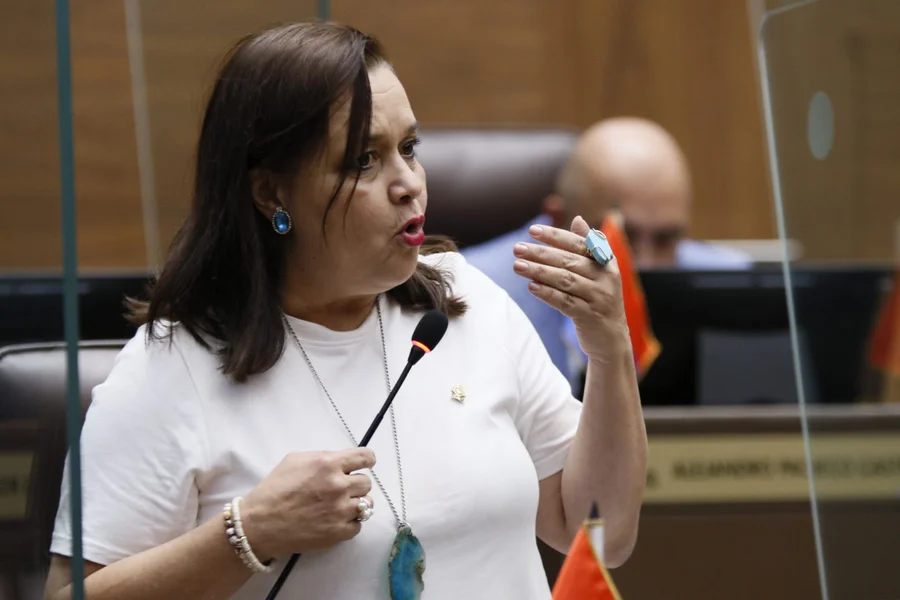 Castro cuestiona propuesta de Nogui Acosta de allanamientos sin orden judicial

 – La nación