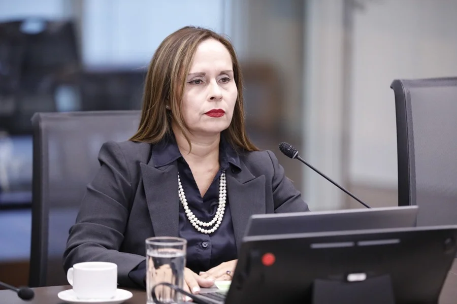 El futuro presidente del Congreso prevé que los diputados trabajen los viernes

 – La nación