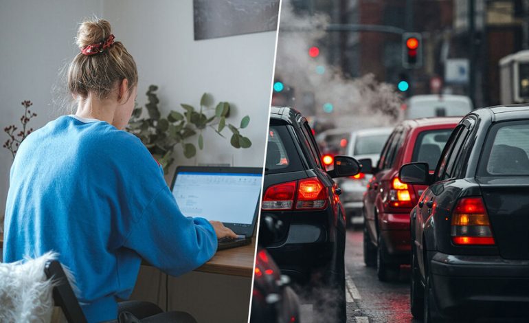 Proporcionar motivos para volver al teletrabajo

 – La nación