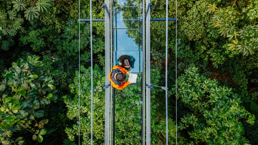 Treetopia Park en Monteverde ofrece “El Puente de Cristal”, el primer puente colgante de vidrio en Costa Rica

 – La nacion