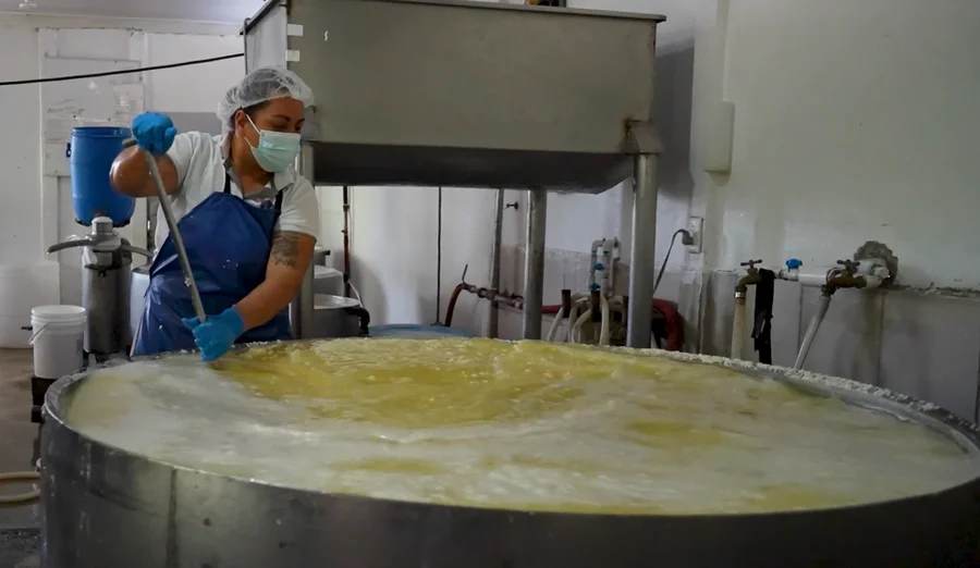 Inder invierte más de ₡56 millones para fortalecer producción láctea en Turrialba

 – La nación