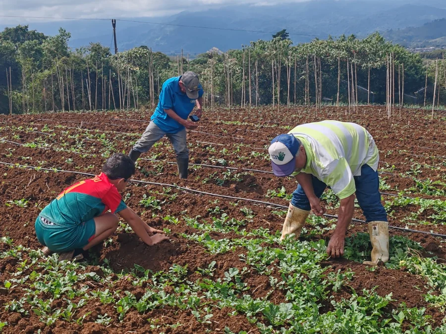 Inder impulsa obras viales y proyectos productivos en Cartago, beneficiando a más de 5.000 personas

 – La nación